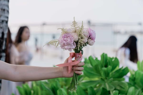 A Marrigic wedding at SAii Lagoon — frame 2