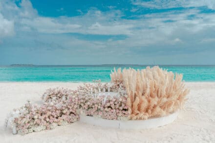 Megan & Jordan's proposal at Amilla Maldives — frame 9